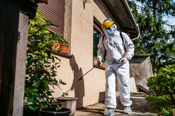 Best Rodent Control Near Me  in Bonham, TX