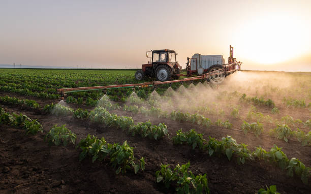 Best Insect Control  in Bonham, TX